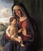 CIMA da Conegliano Madonna and Child dfhdt USA oil painting artist